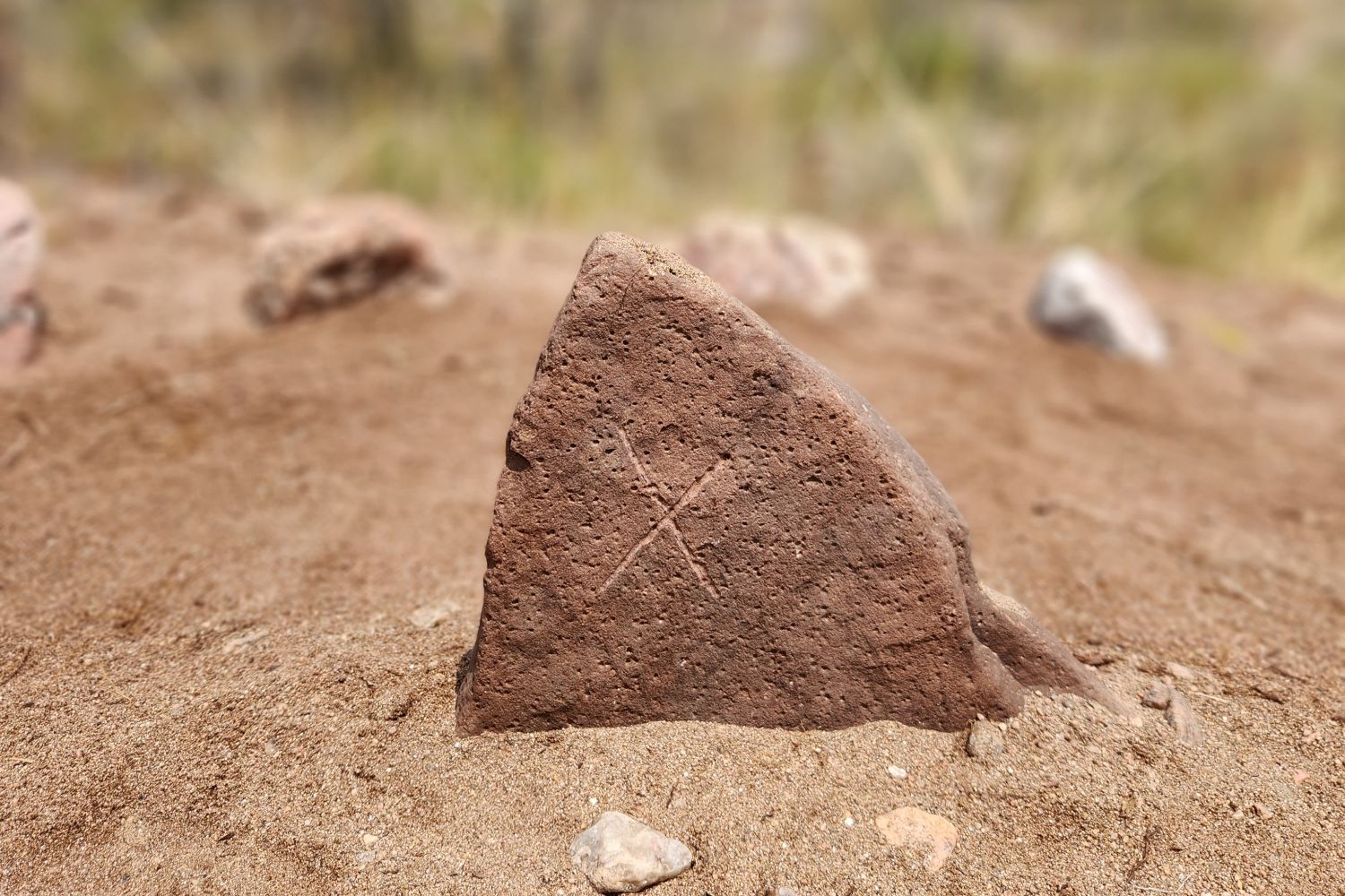 Gebo — the rune of sacred exchange, marking the land.
