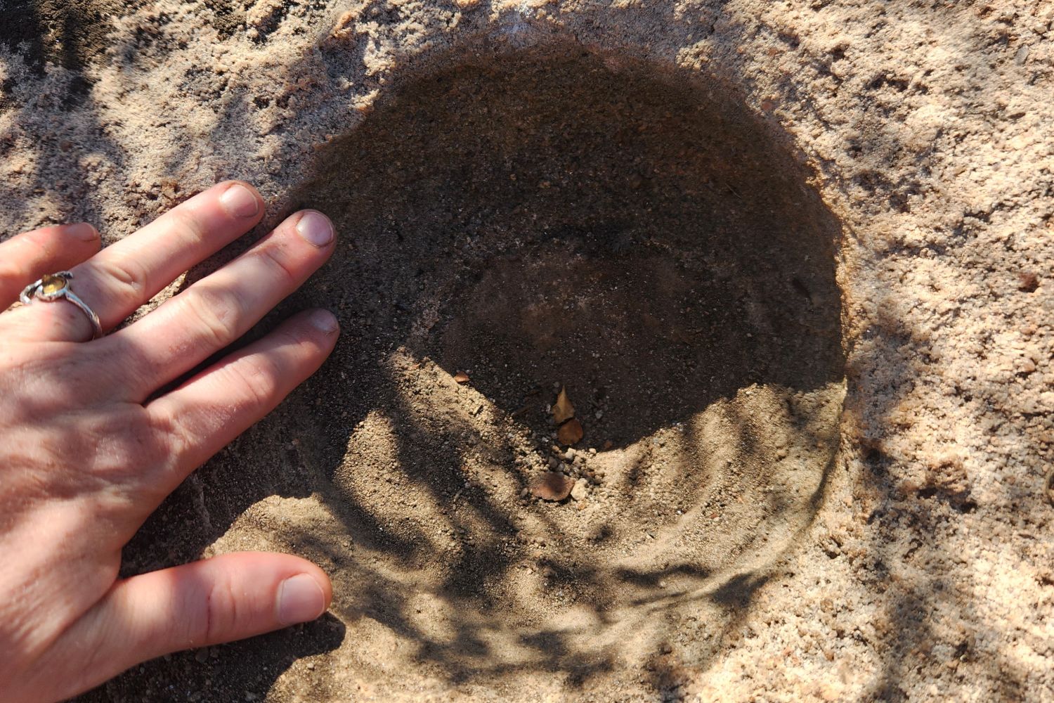 A Native American grinding bowl, found on the land.