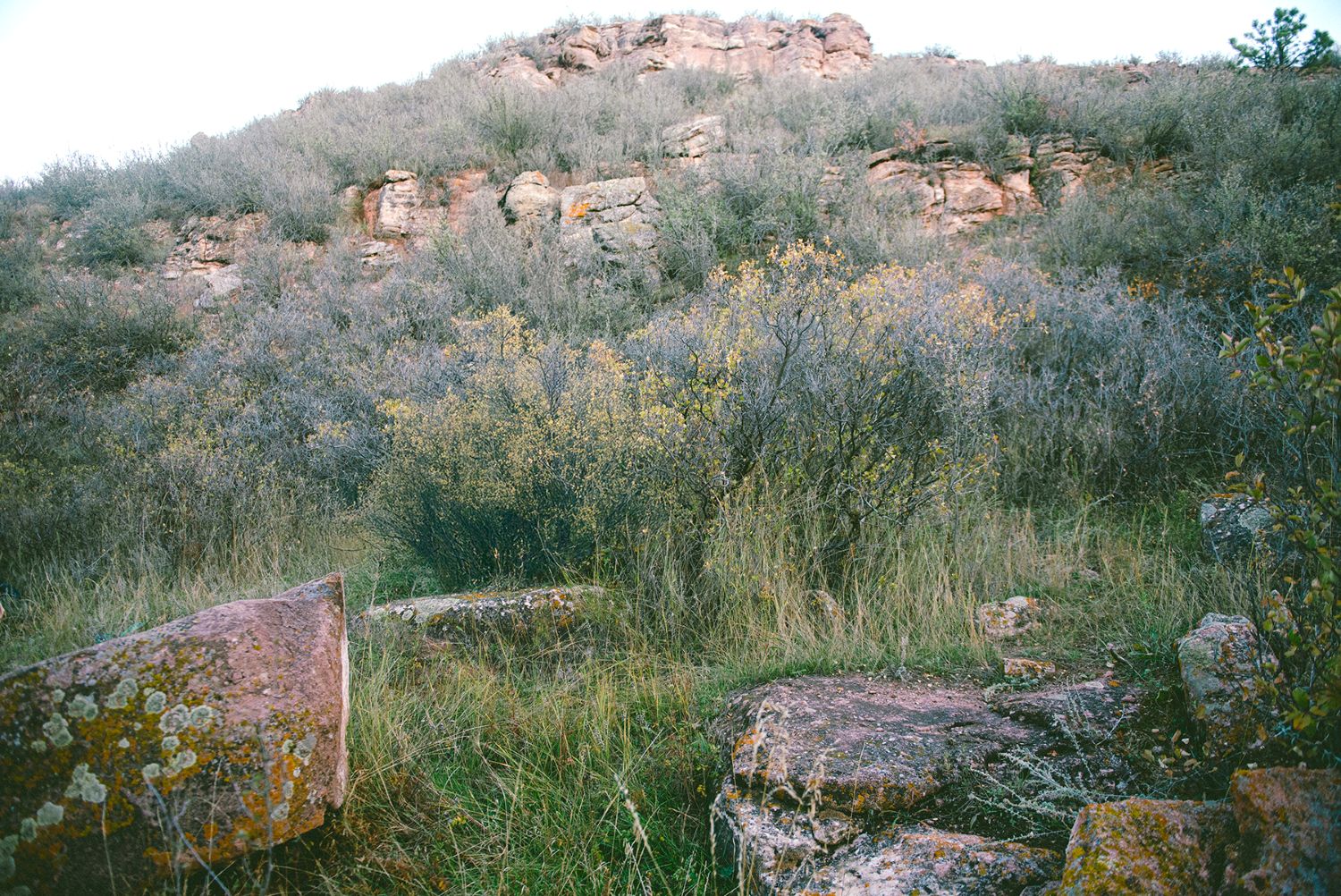 Inside the ravine — a cathedral of stone and shadow.