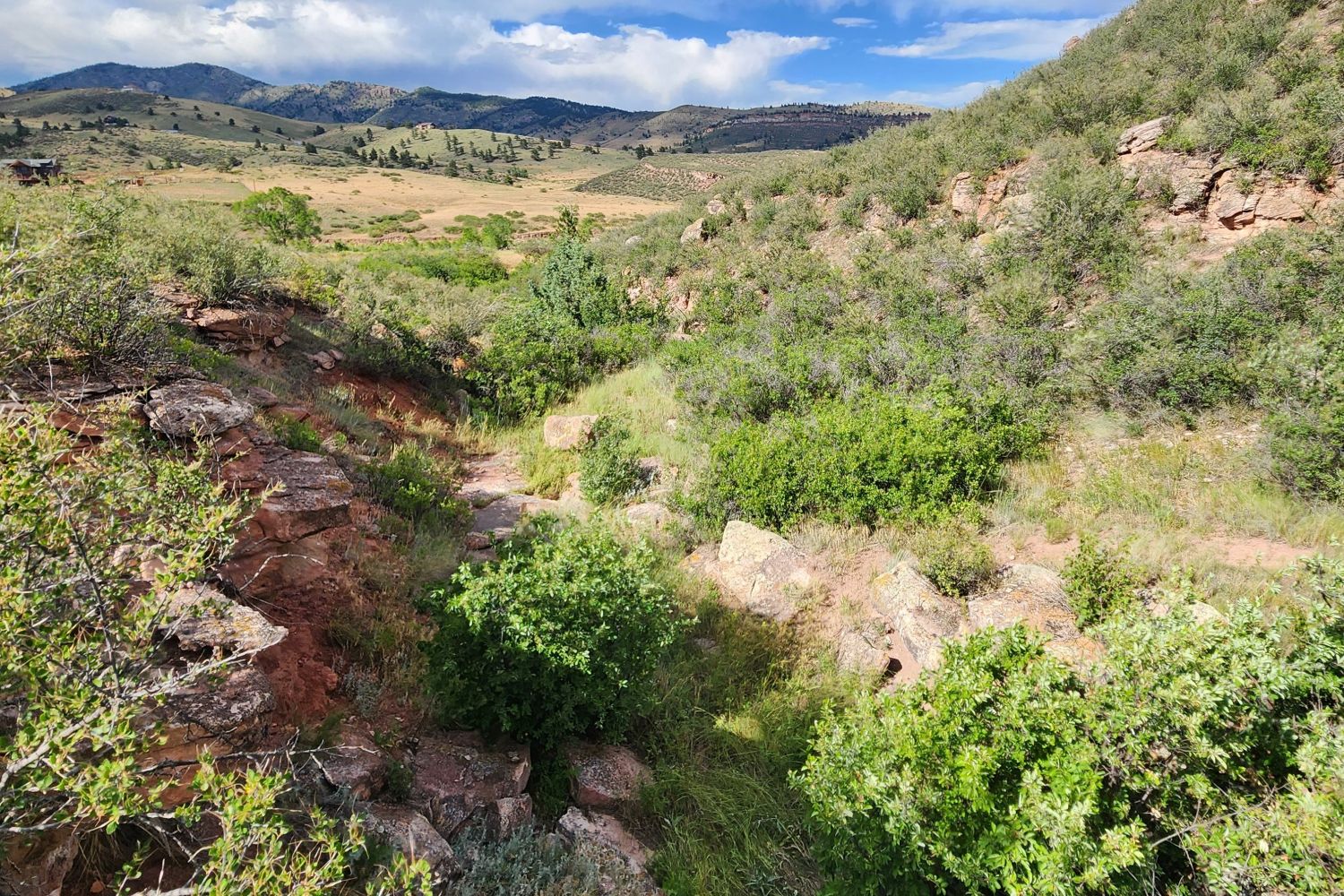View of the ravine.