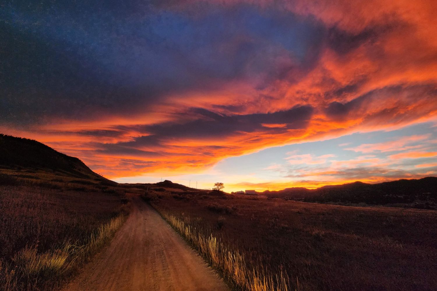 Sunset over the meadow.